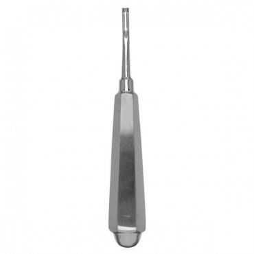 Coupland Bone Chisel #2