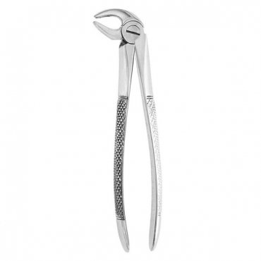 Extracting Forceps #13 - English